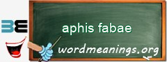 WordMeaning blackboard for aphis fabae